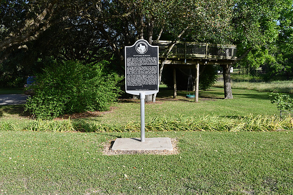 Witting School