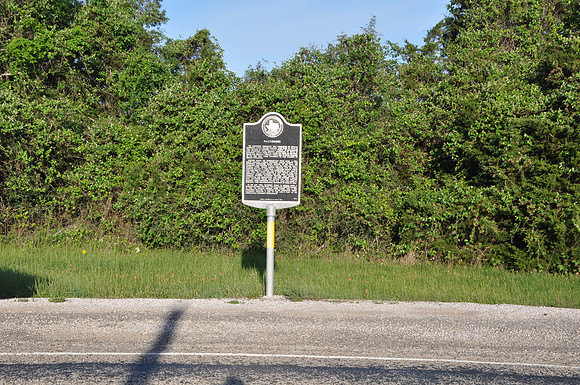 Hackberry
