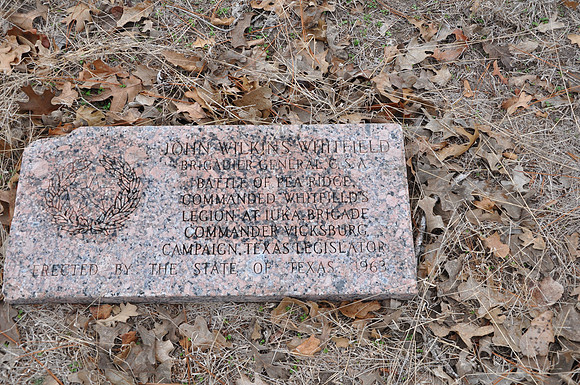 John Wilkins Whitfield