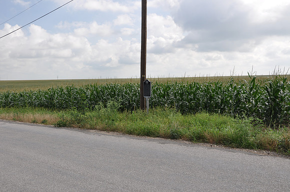 Monodale Community