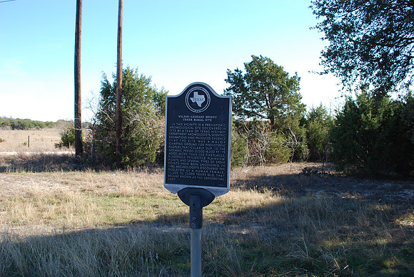 Wilson-Leonard Brushy Creek Burial Site