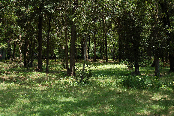 Slave Burial Ground