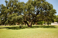 Pioneer Park Cemetery