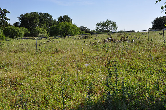 Todd Mountain Cemetery