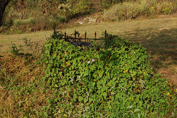 Emil Lang Grave