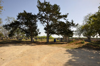 Steele Branch Cemetery  Wilson County Texas