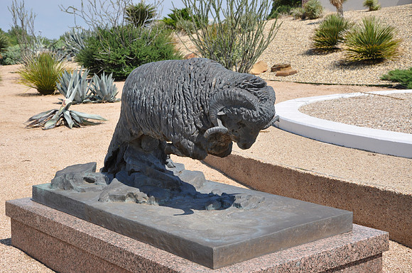Ethicon Rams 0003