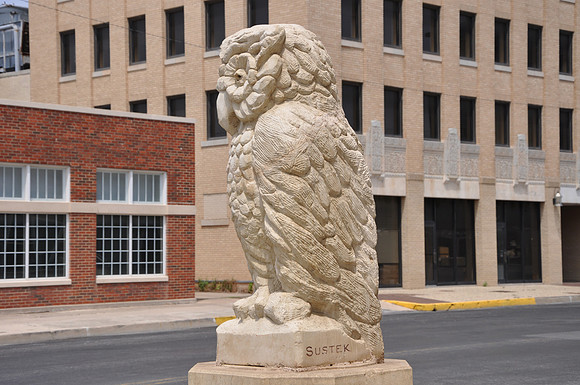 Wise Old Owl