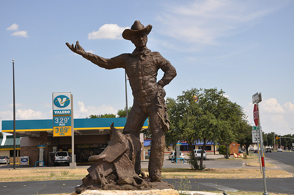Working Cowboy