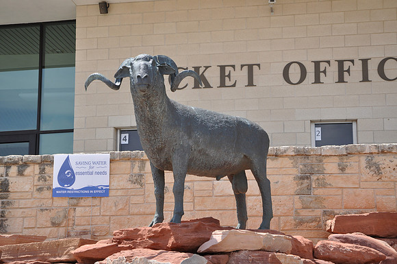 Ram and Ewe 0002