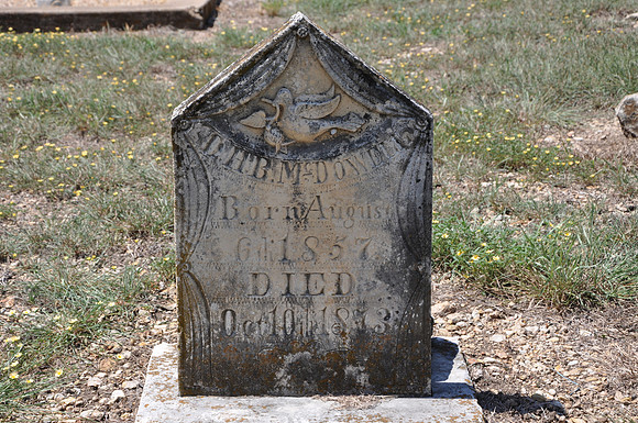 Unusual Gravestone - Bell County 0001