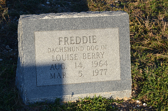 Unusual Gravestone - Lampasas County 0001
