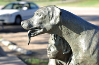 Old Yeller 02