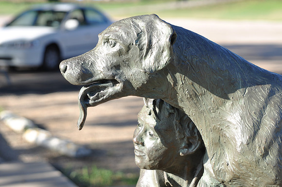 Old Yeller 02