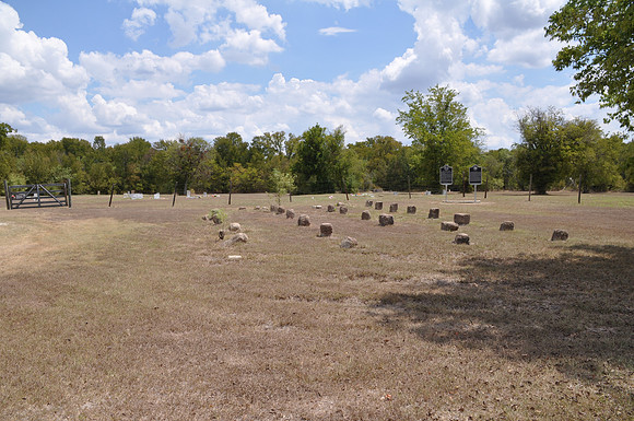 Unusual Gravestone - Falls County 0003 a