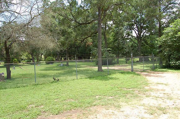 Hornsby Cemetery