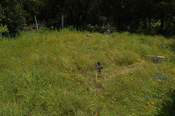 Brown Cemetery #2
