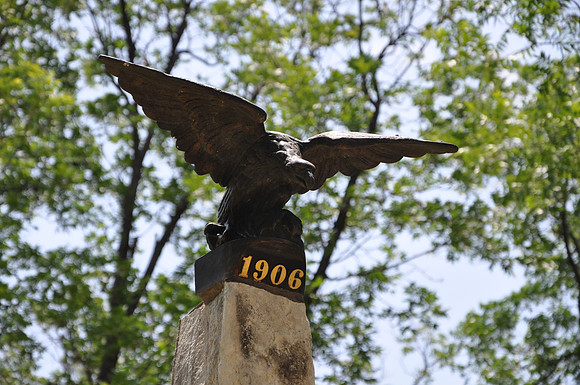 Terrell County Eagle