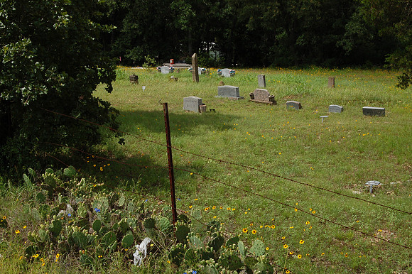 Brown Cemetery #1