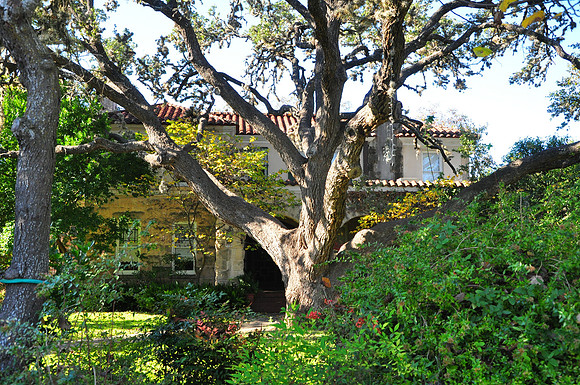 A. C. Schreiner, Jr. Home