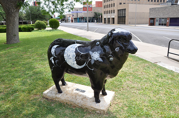 Baa Baa Black Sheep 0002