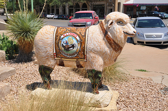 Custom Made B Ewe ts