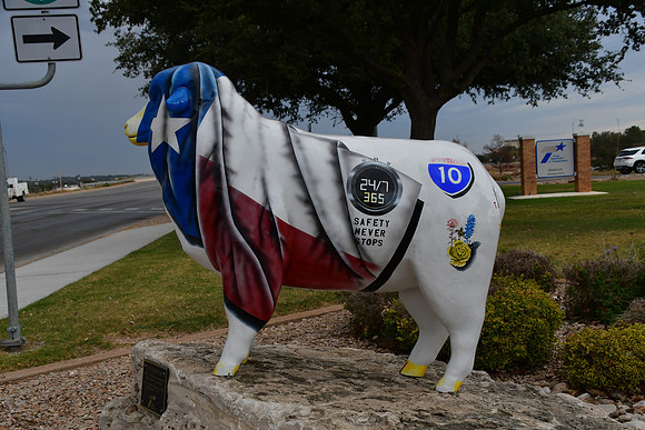 Don't "Ewe" Mess With Texas 0001a