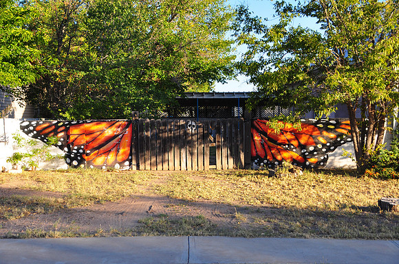 Butterfly Fence