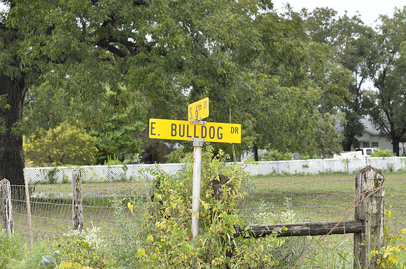 Bulldog Drive