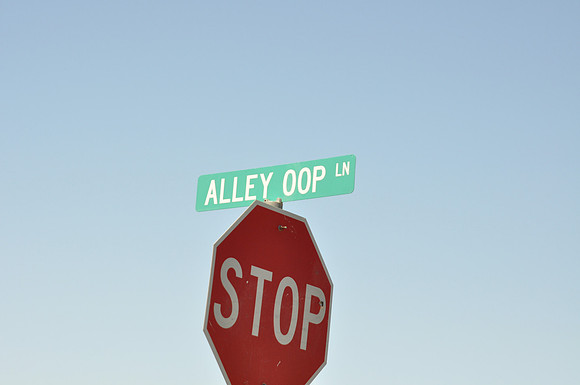 Alley Oop Lane