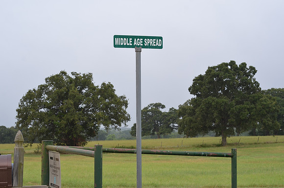 Middle Age Spread