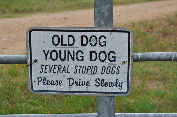 Dog Sign