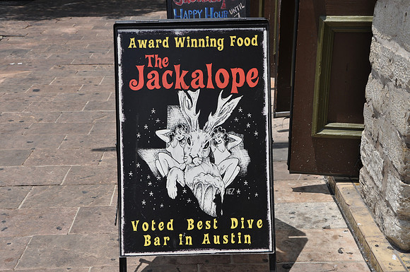 Jackalope