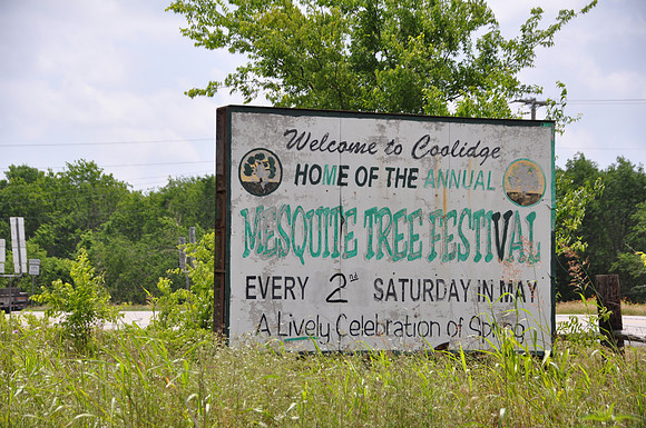 Mesquite Tree Festival