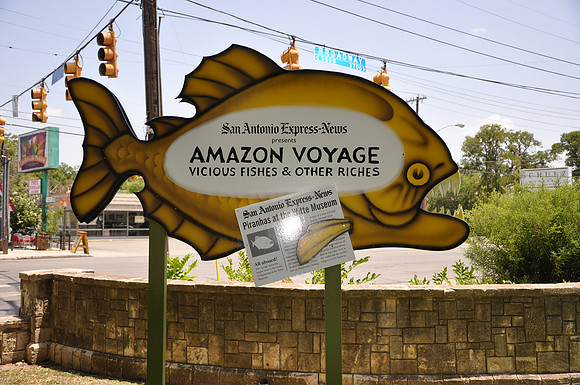 Amazon Voygage
