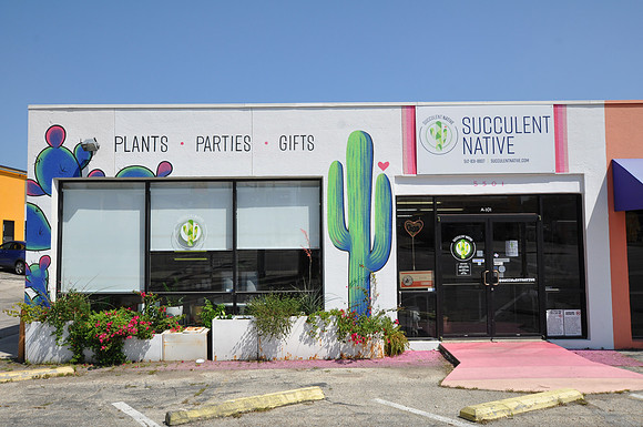 Succulents Native 0001a