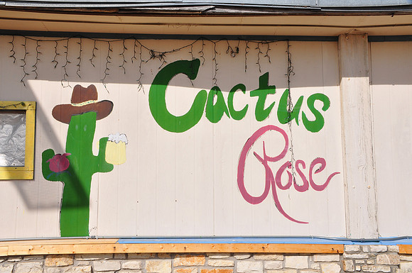 Cactus Rose