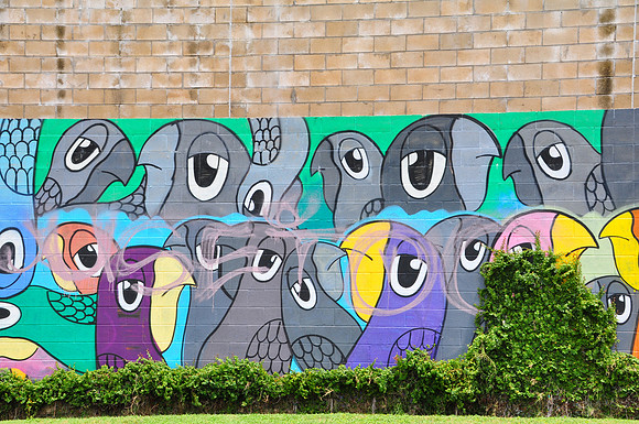 Birds 0001b