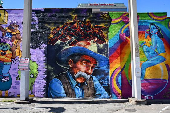 Old Cowboy