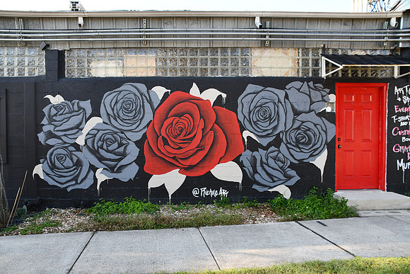 Roses 0001
