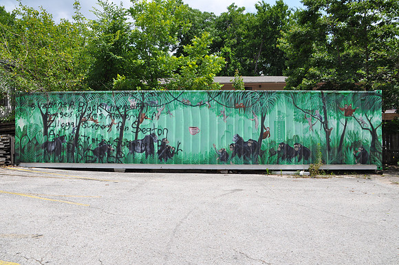 Monkey Nest 0001a