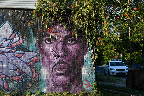 Prince 0001