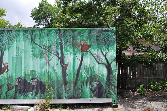 Monkey Nest 0001c