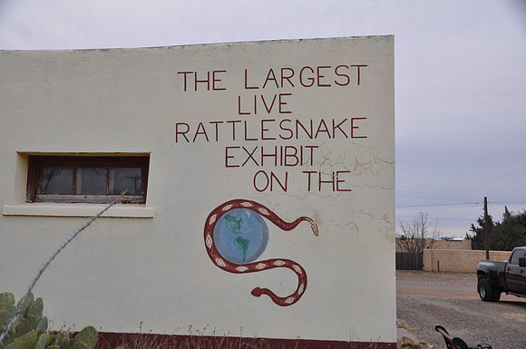 Largest Live Rattlesnake Exhibit on Earth