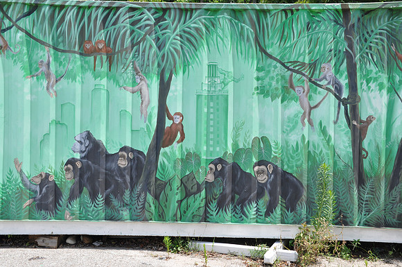 Monkey Nest 0001b