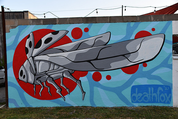 Grasshopper 0001