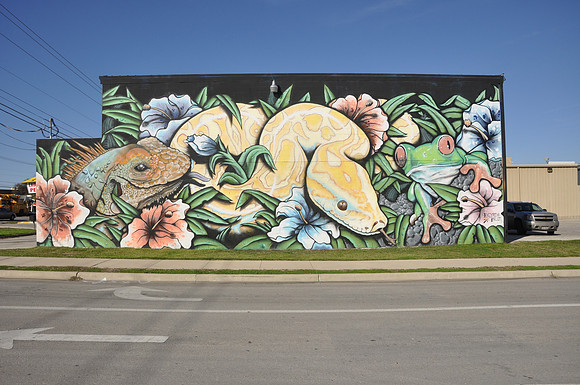 AAA Exotic Pets 0001a