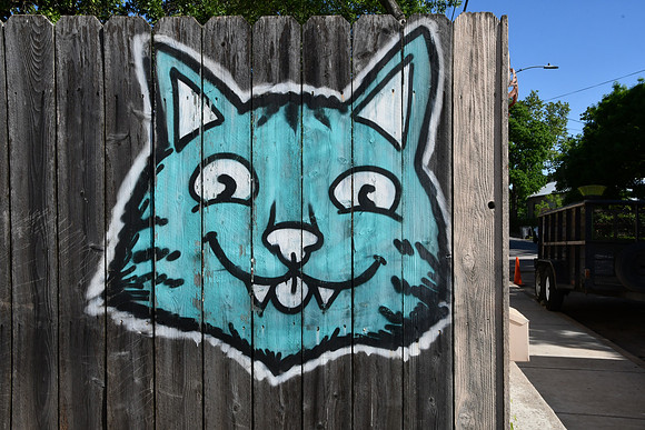 Cat on a Fence 0001