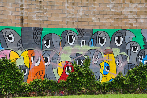 Birds 0001c