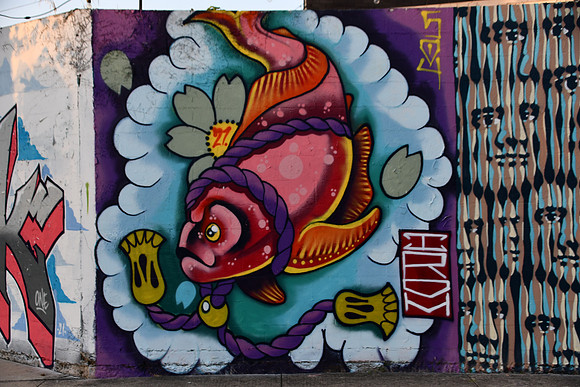 Fish on a Rope 0001